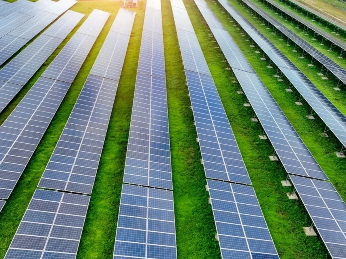 Premier Energies shares were trading 2.53% lower at ₹1,026.40 a unit on the NSE. | Image: Shutterstock
