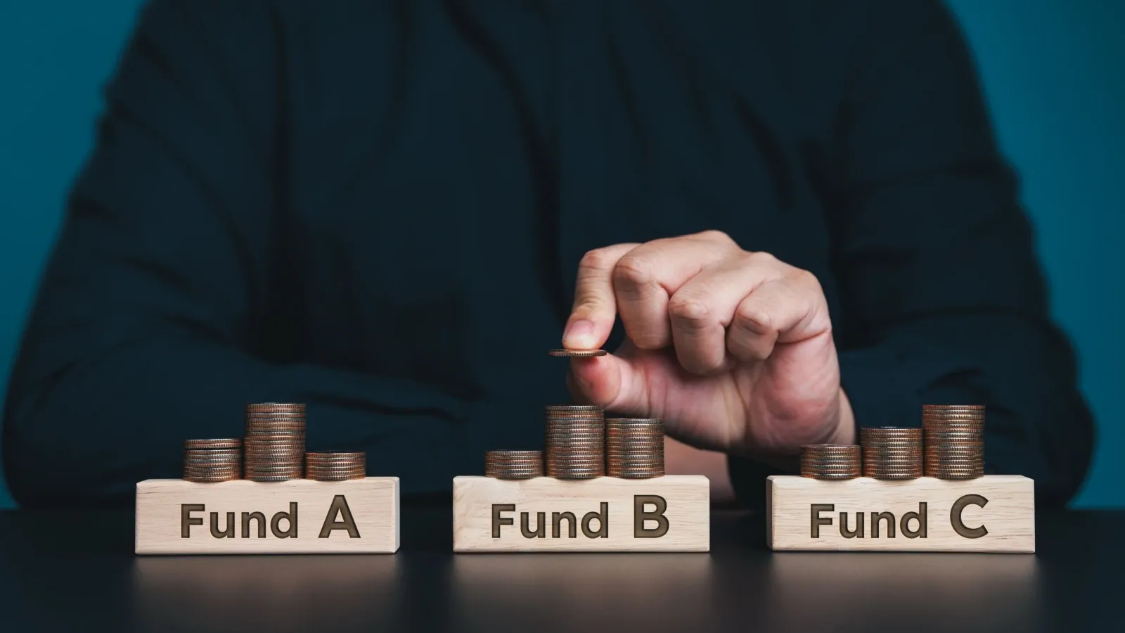 sankaran naren's fund performance