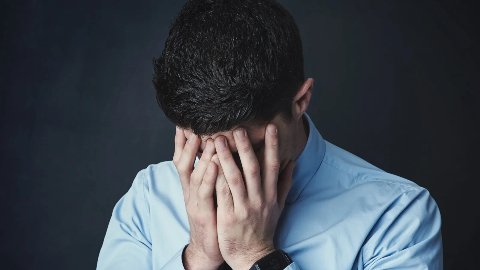 sebi verified app label to check fraud