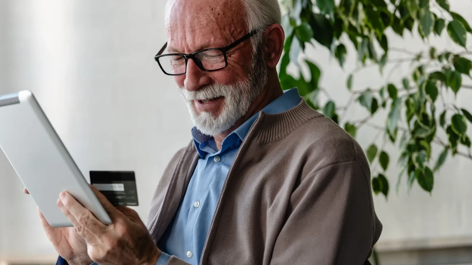 senior citizen credit card