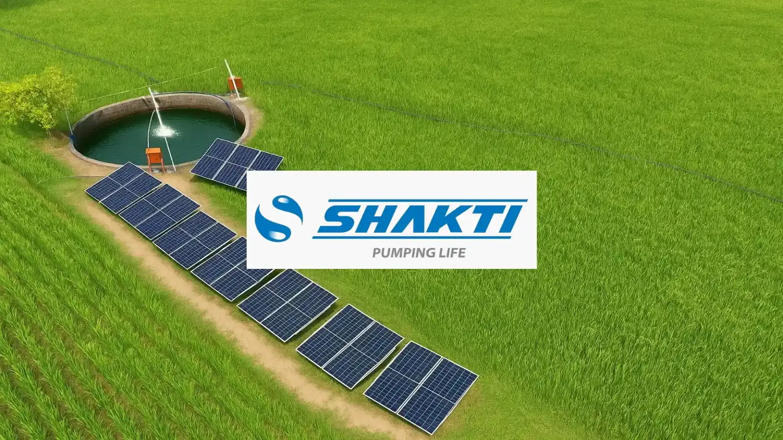 Shakti Pumps India shares