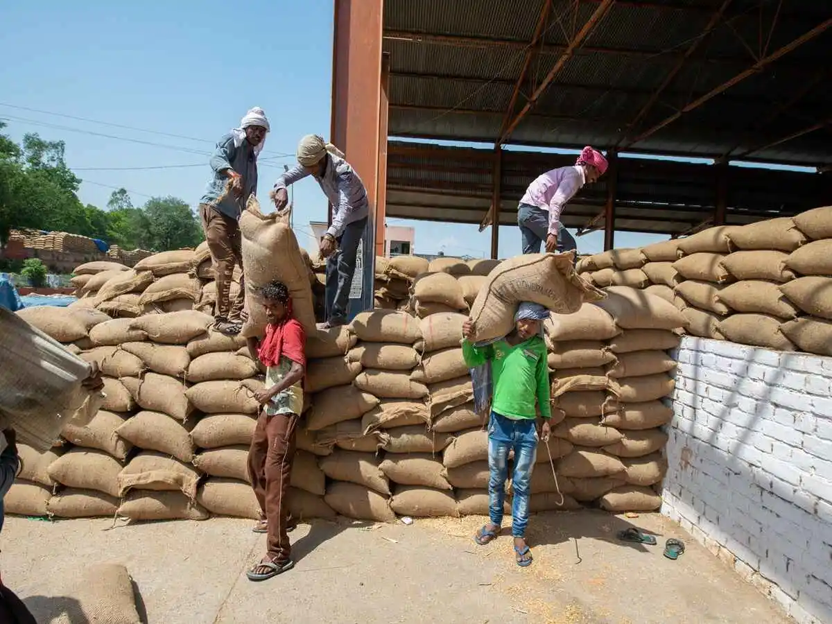 Wheat stock limit new