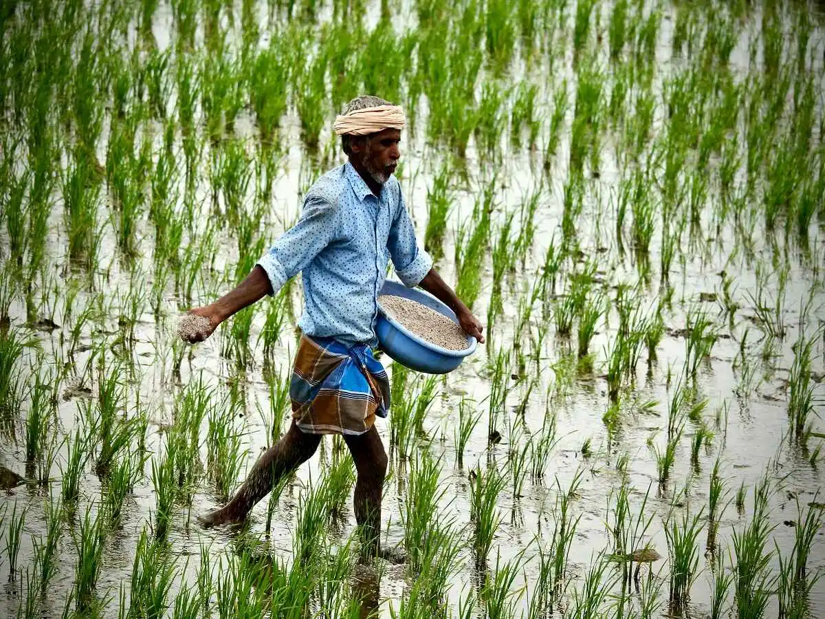fertiliser china india