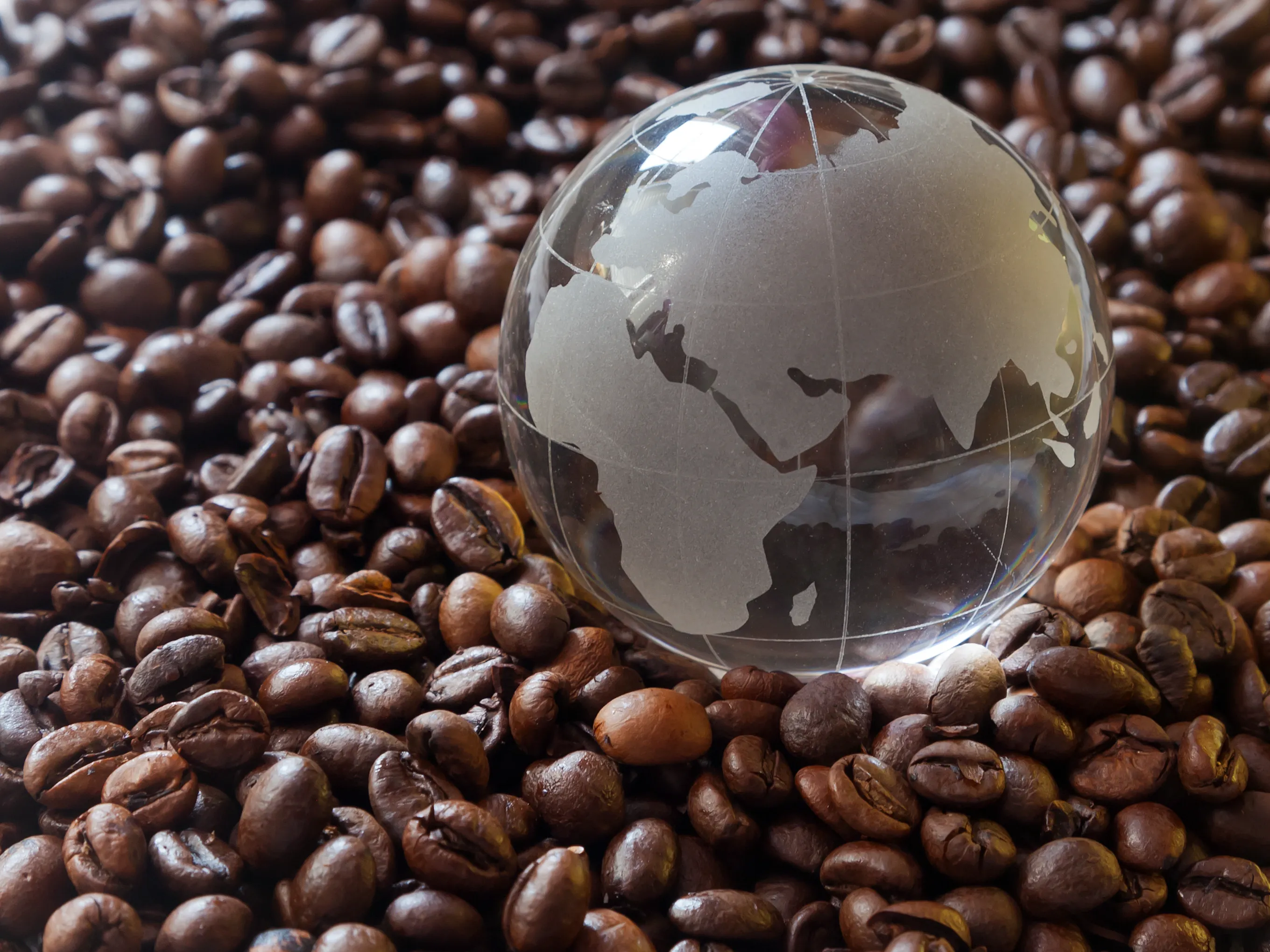 India is the fifth-largest coffee exporter in the world. | Image: Shutterstock