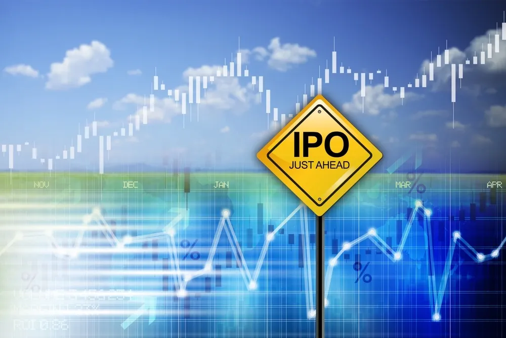 IPOs Swiggy, Hyundai, NTPC Green Energy among big companies