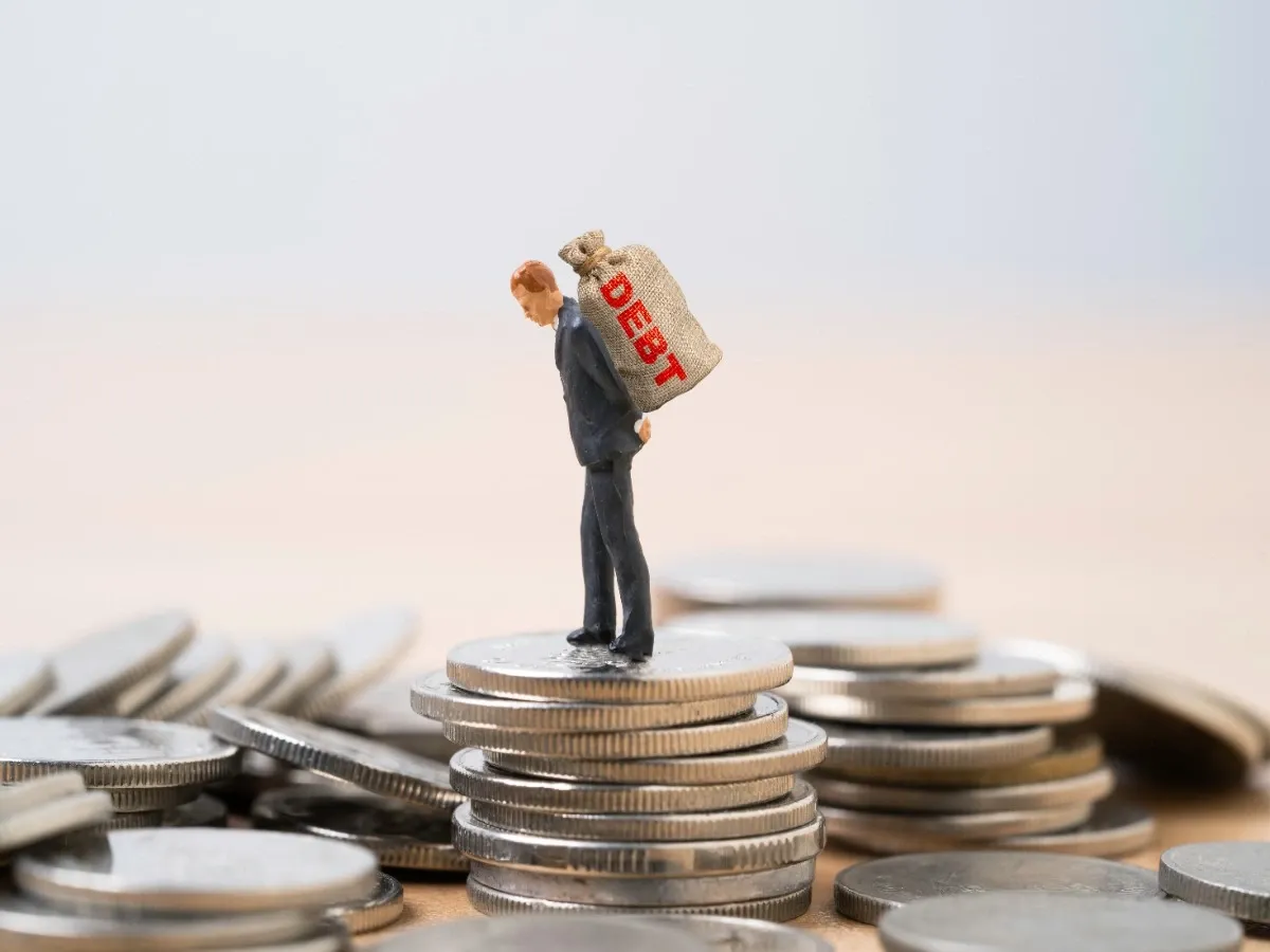 Small finance banks in India to grow loan book by 25-27% in FY25: CRISIL report