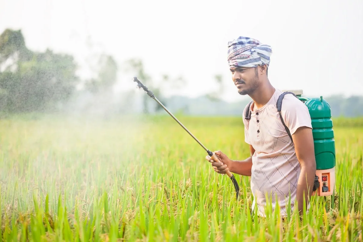 Centre extends PM Fasal Bima Yojana, DAP fertiliser subsidy; WINDS to launch in 2025