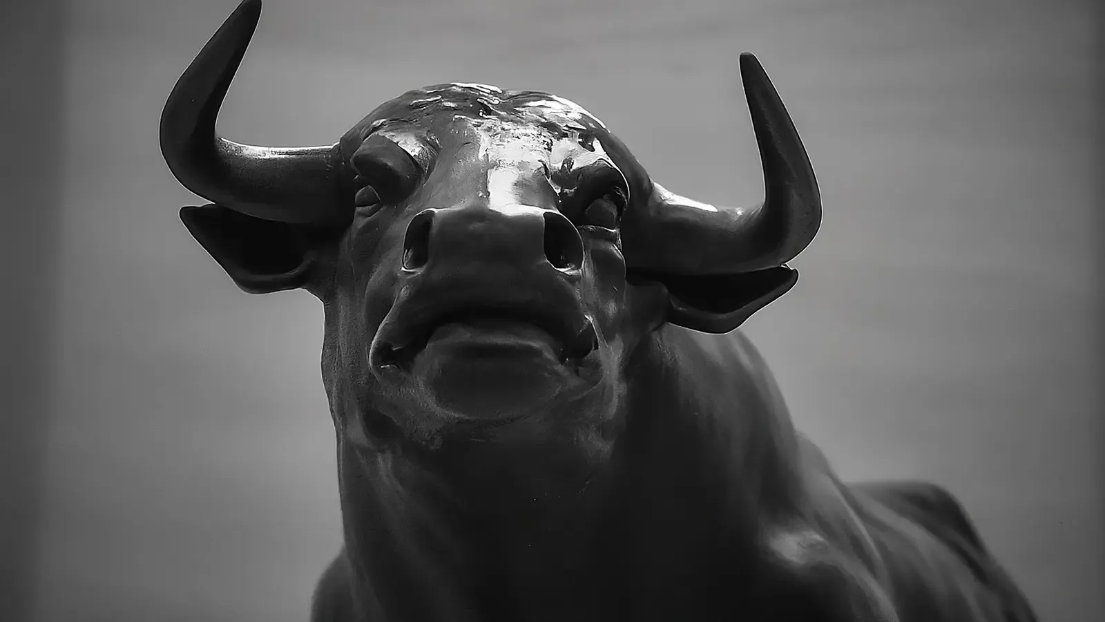 Bull market