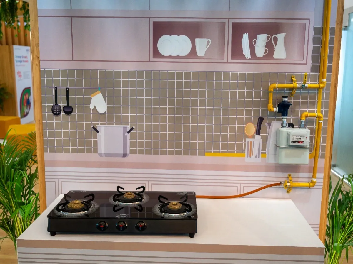 Domestic PNG piped gas