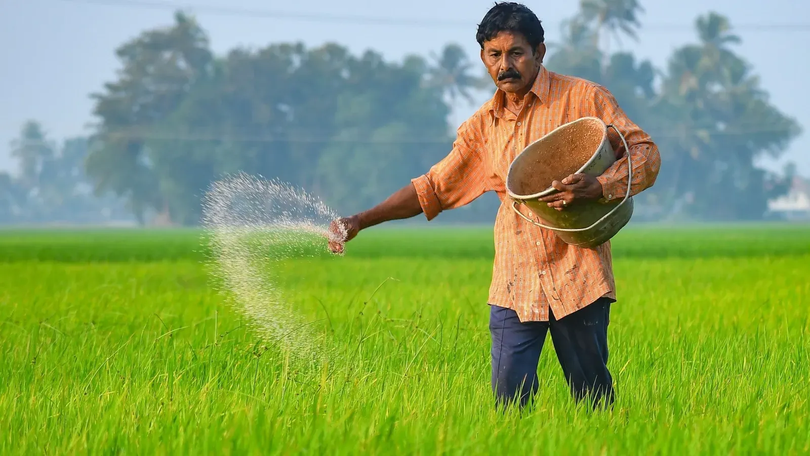 Kharif MSP Cabinet