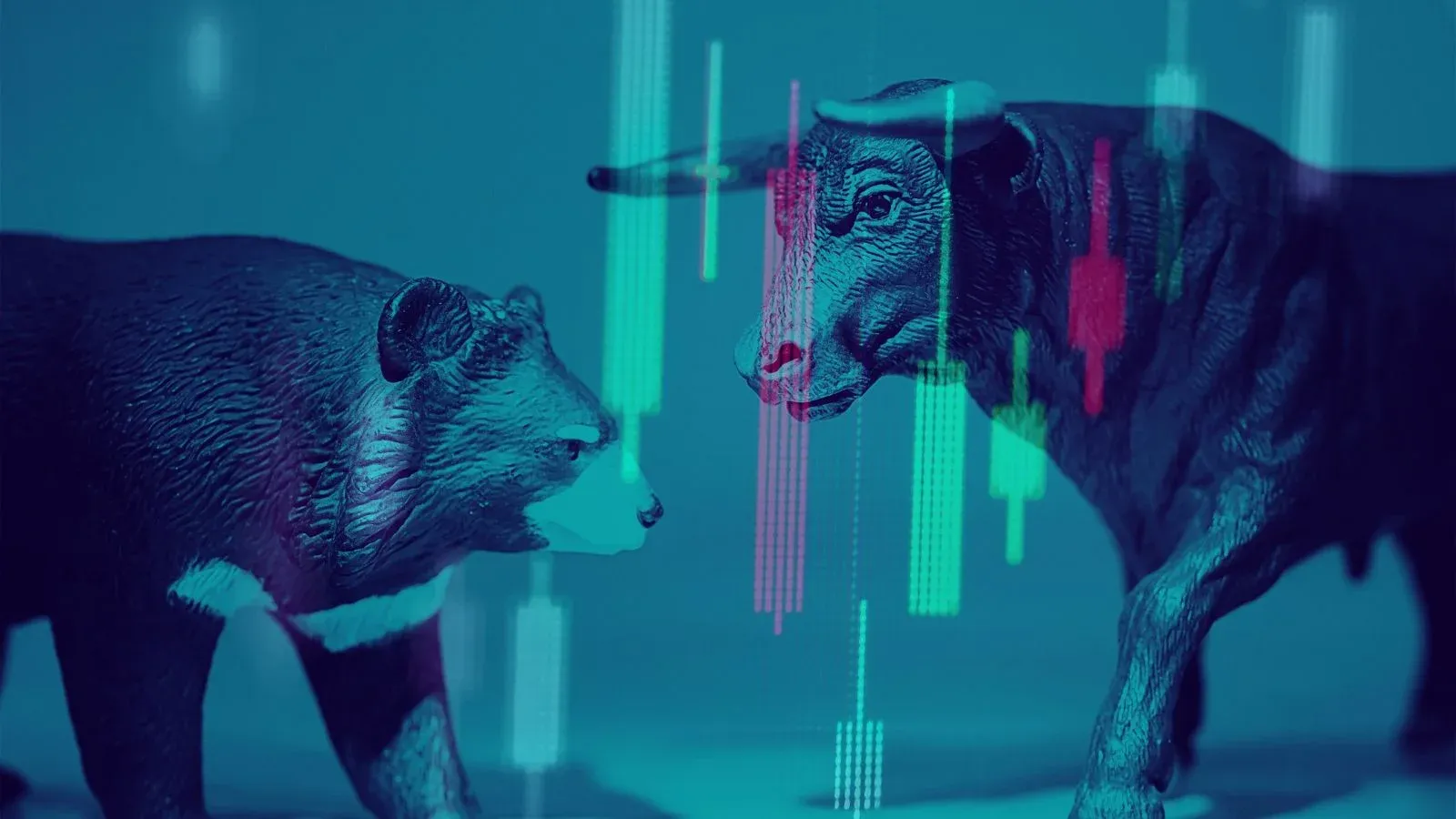 stocks to watch 16 feb 