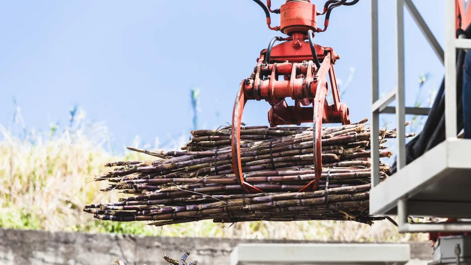 चीनी प्रोडक्शन