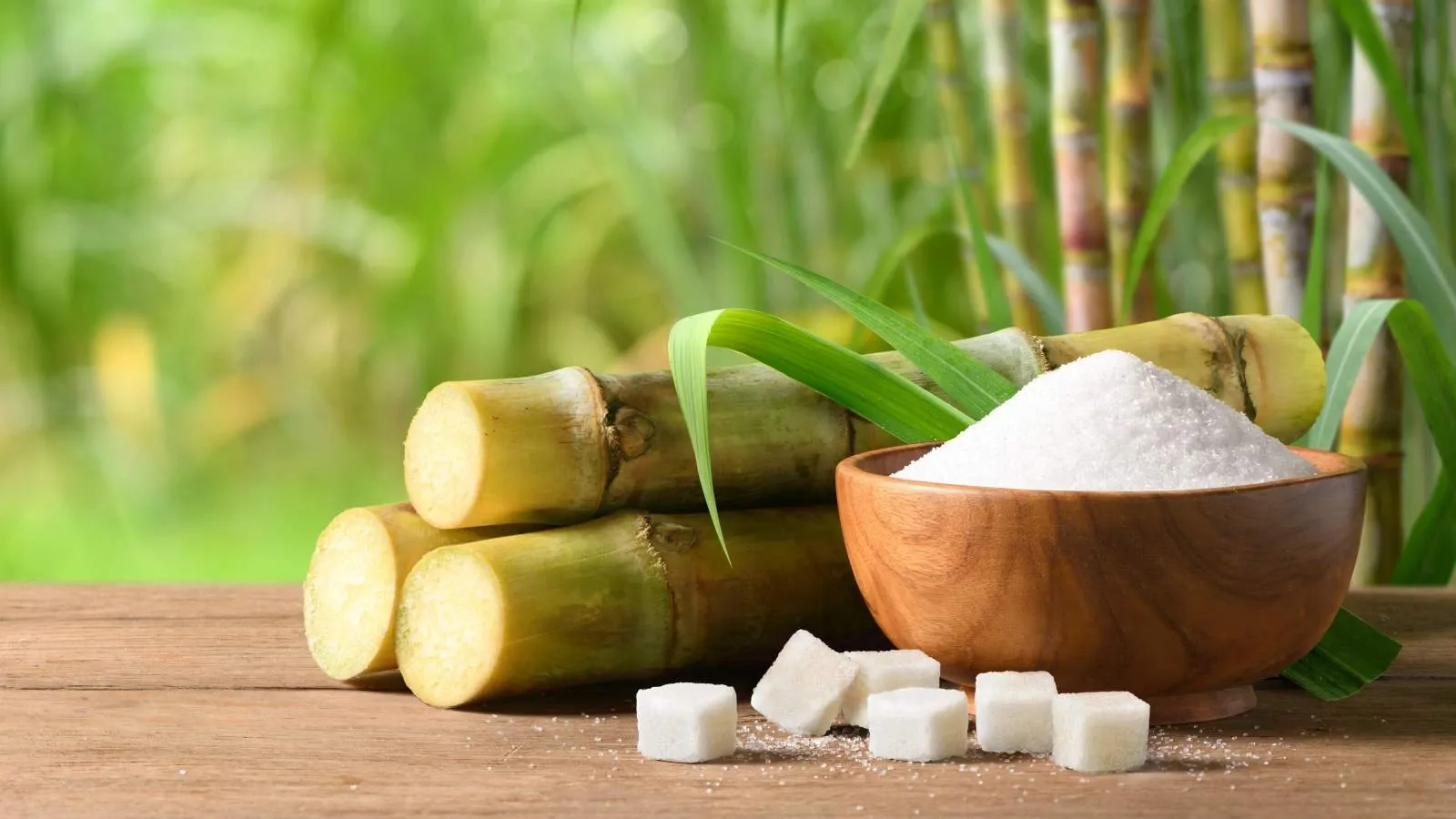 Sugar stocks