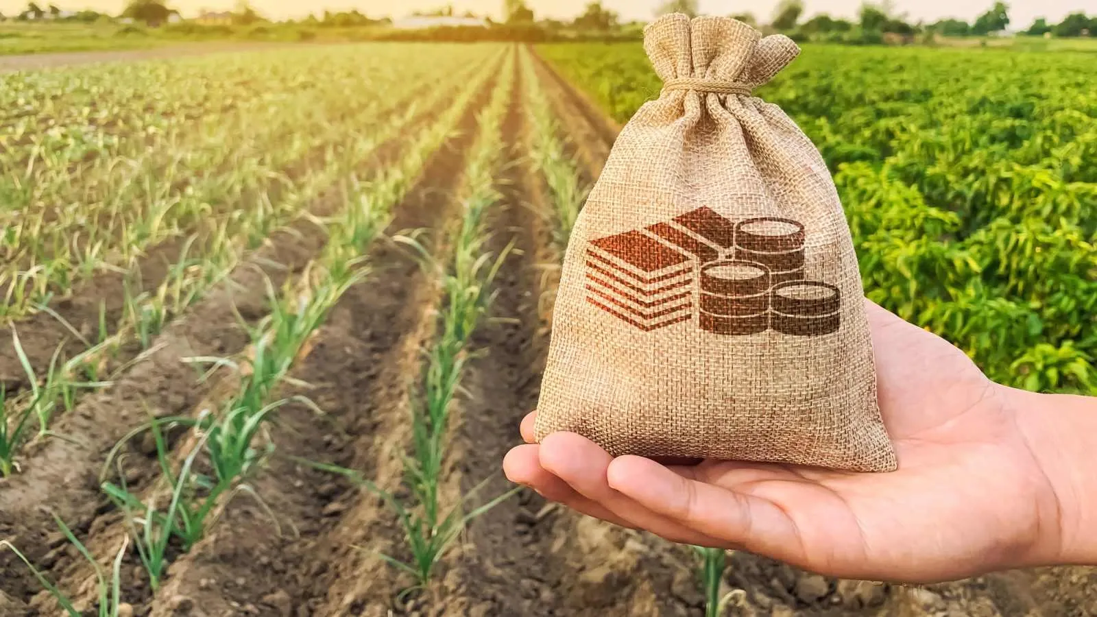 टैक्स हार्वेस्टिंग