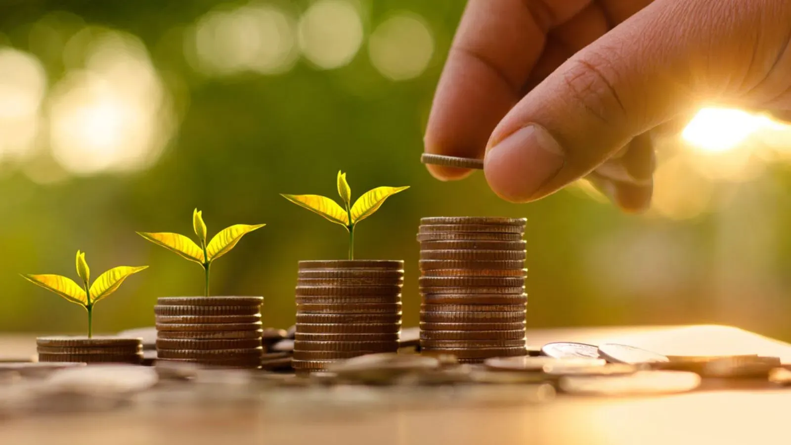 top 5 value funds