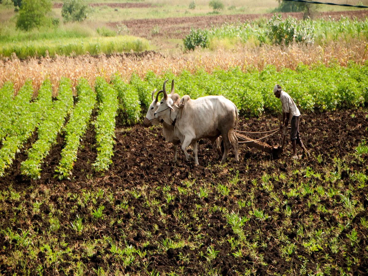 The All-India Consumer Price Index for Agricultural Labourers (CPI-AL) and Rural Labourers (CPI-RL) registered an increase of 7 points each in August 2024