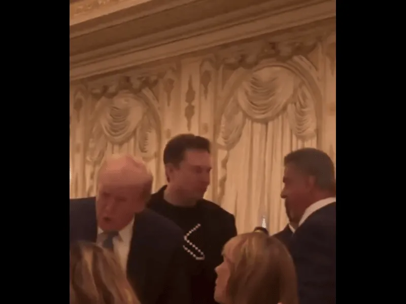 trump musk.webp