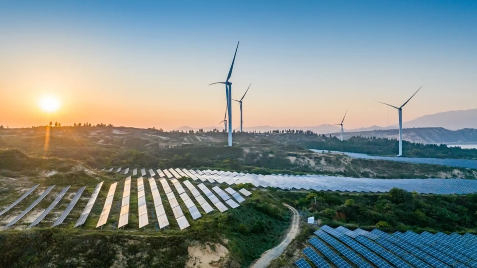 Waaree Energies, Premier Energies, Suzlon Energy, NTPC Green: How renewable power stocks are performing on Feb 5