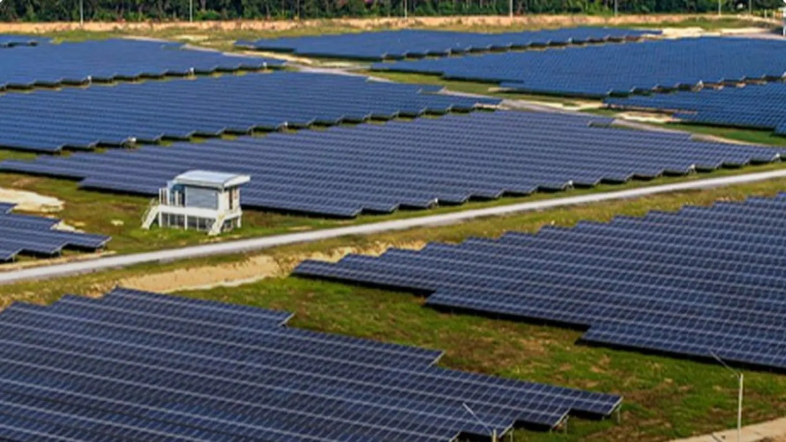 Waaree Energies shares, August 7, 2026