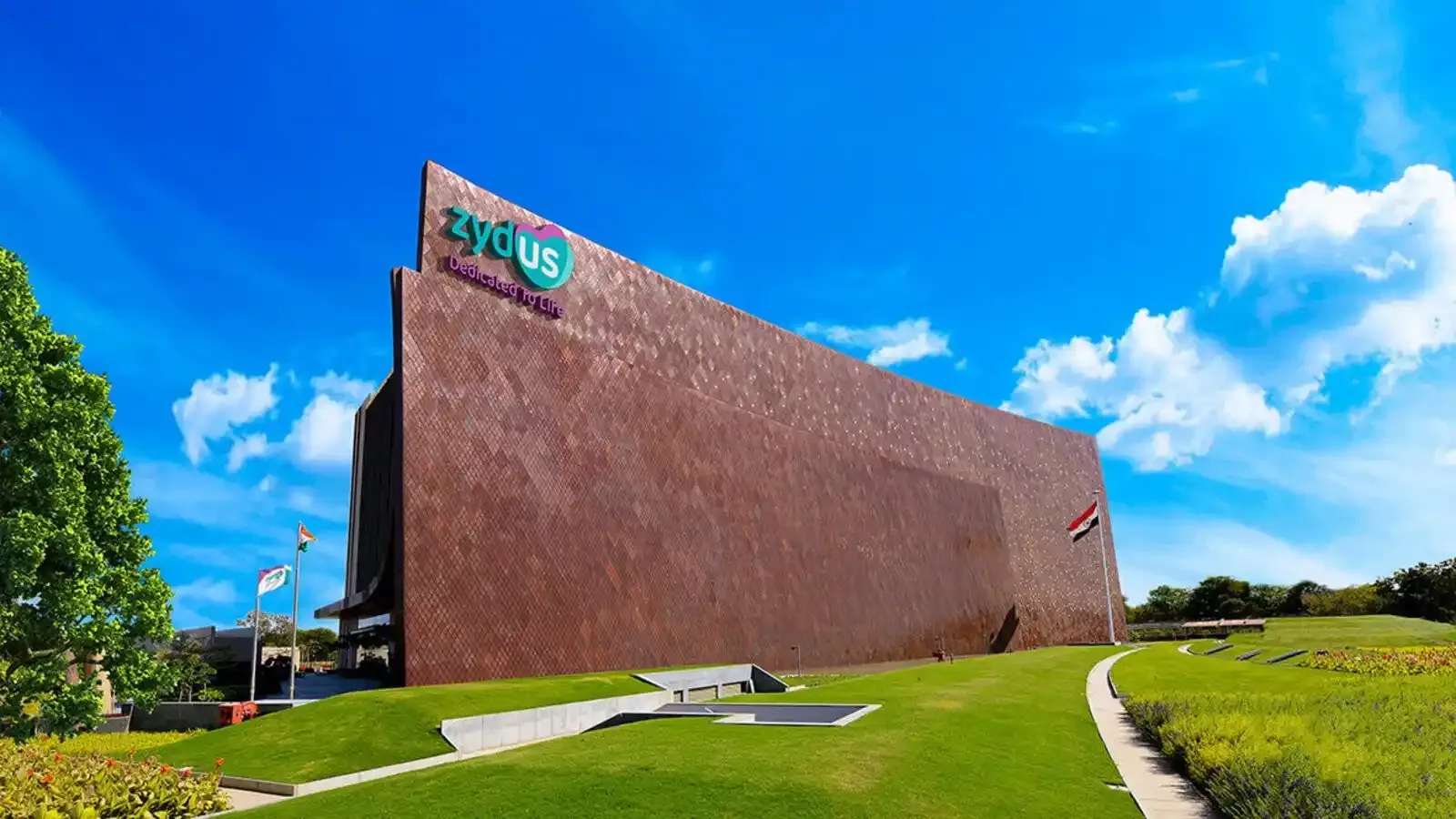 Zydus Lifesciences shares