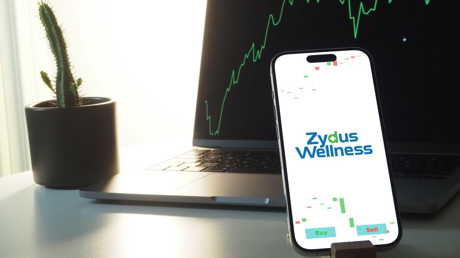 zydus-wellness-q3-results-loss