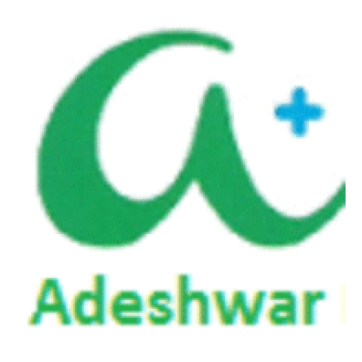 Adeshwar Meditex Share Price