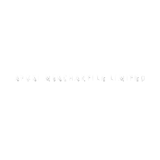 Ayoki Mercantile Share Price