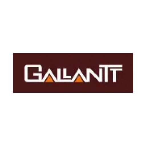 Gallantt Metal Share Price