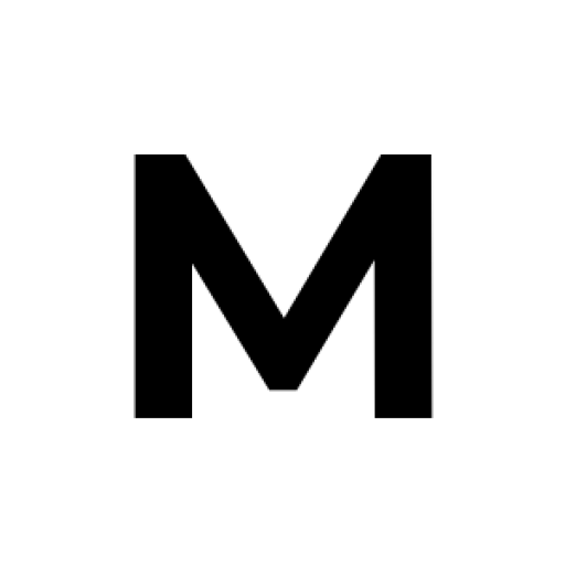 Mercury Trade Links Ltd Share Price