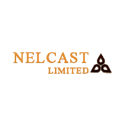 Nelcast Share Price