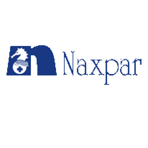Parnax Lab Share Price