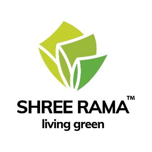 Rama Newsprint Share Price