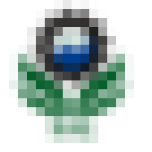 SALAUTO EQ