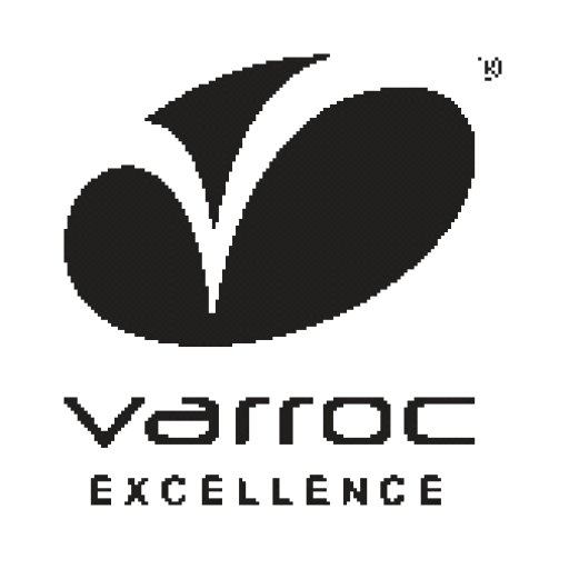 Varroc Share Price