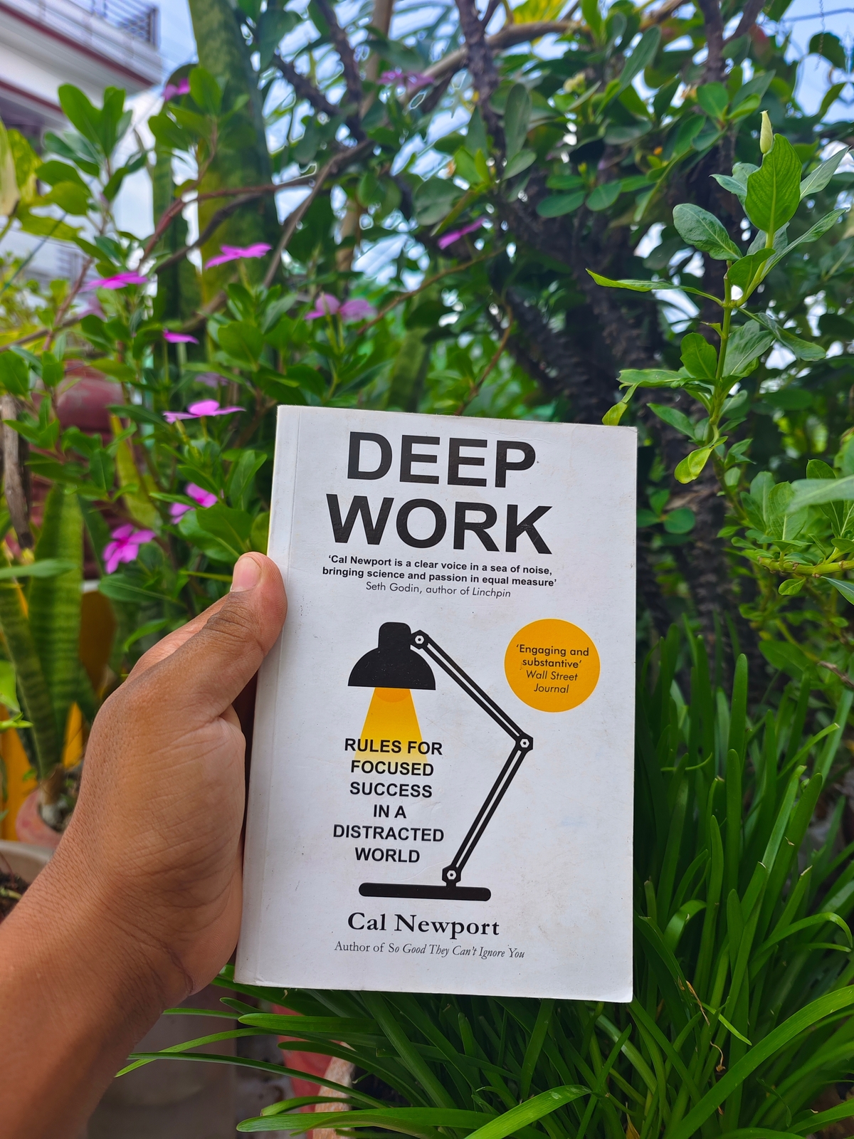 Deep work Cal Newport