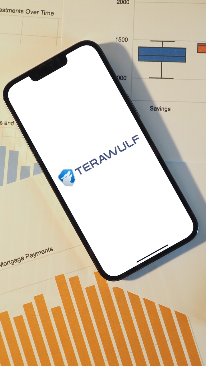 10 largest crypto mining companies in the world