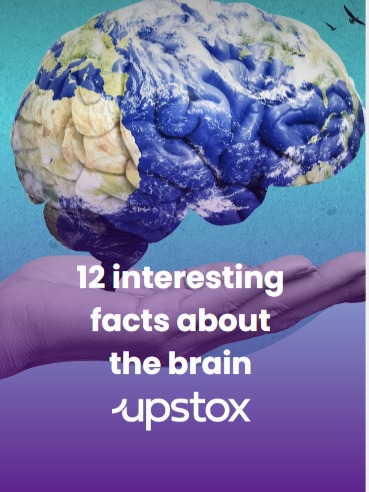 12 interesting facts about the brain