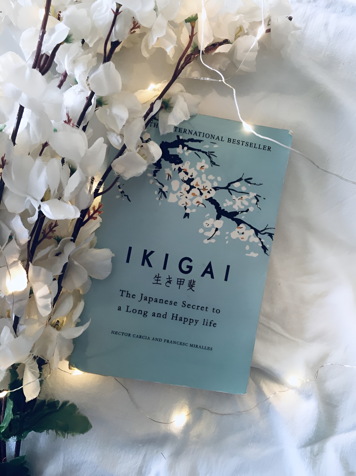 7 life-changing lessons from Ikigai