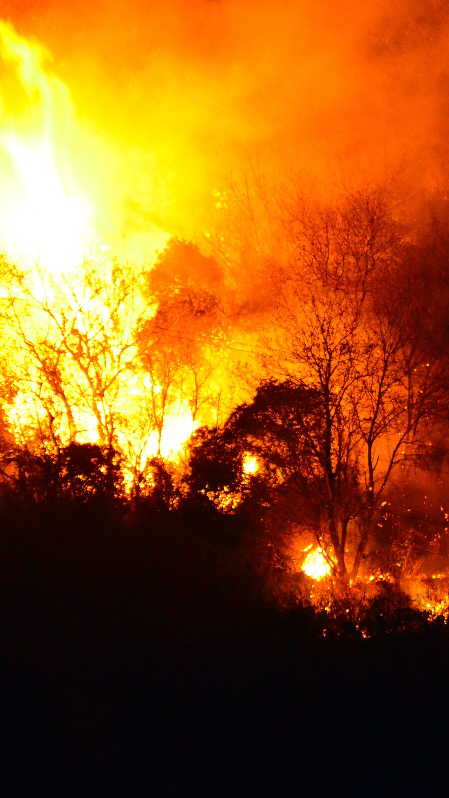 Amazon wildfire