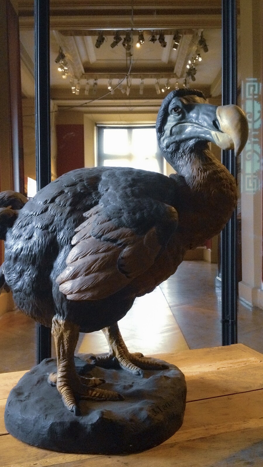 Dodo