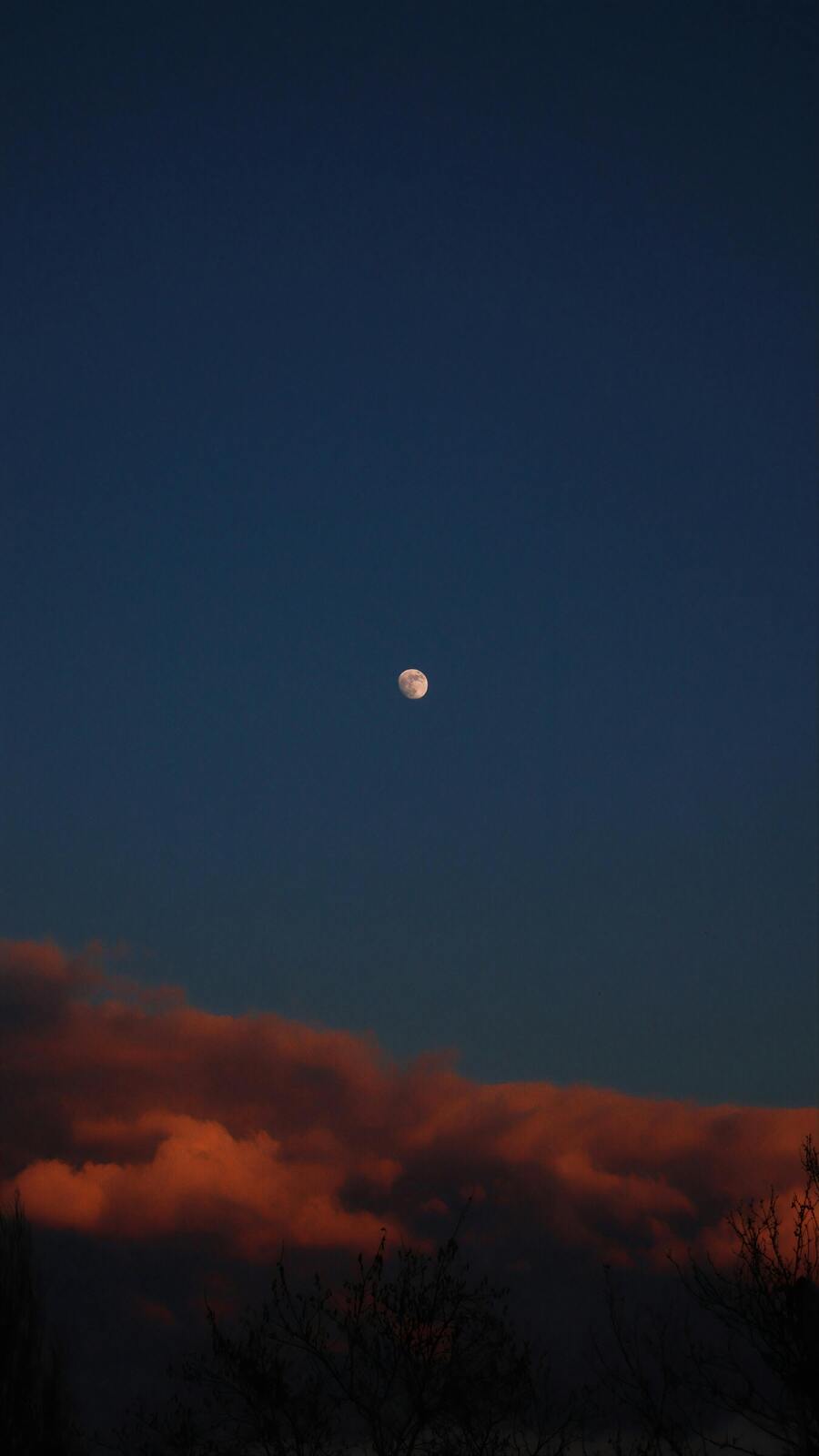Moon