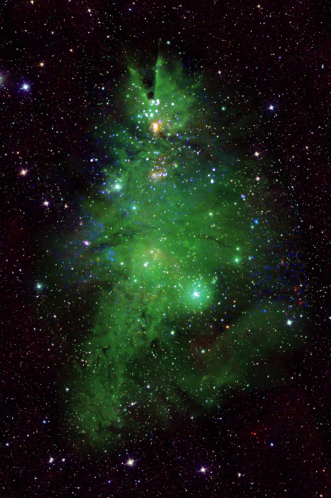 Christmas tree cluster