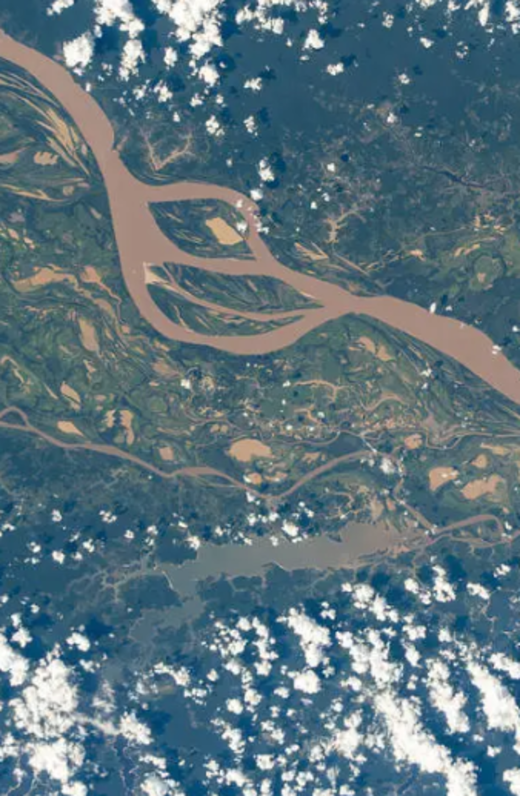 Amazon river
