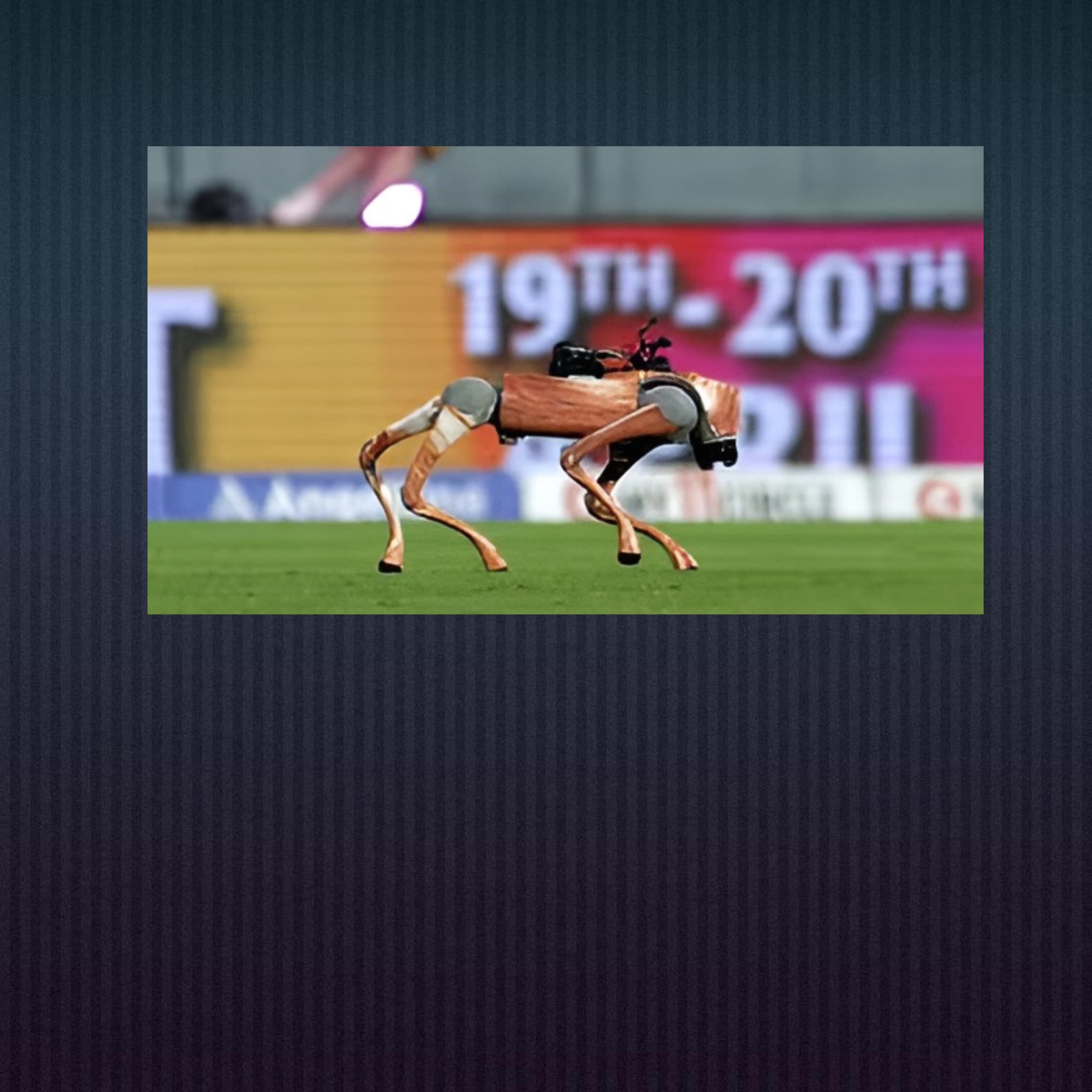 IPL 2025, IPL Tech, IPL Robodog, IPL 2025 technology, advanced technology in IPL 2025, IPL 2025 tech innovations, latest tech in IPL 2025, IPL 2025 new technology, AI in IPL 2025, DRS technology IPL 2025, Hawk-Eye in IPL 2025, smart stumps IPL 2025, augmented reality in cricket 2025, VR fan experience IPL, player tracking tech IPL, real-time analytics IPL 2025, IoT in cricket 2025, ball tracking system IPL, IPL 2025 futuristic technology, how IPL uses AI and VR, best tech moments in IPL 2025, IPL tech behind the scenes, cricket technology trends 2025, BCCI new technology IPL, IPL tech upgrades 2025, T20 World Cup 2025 technology