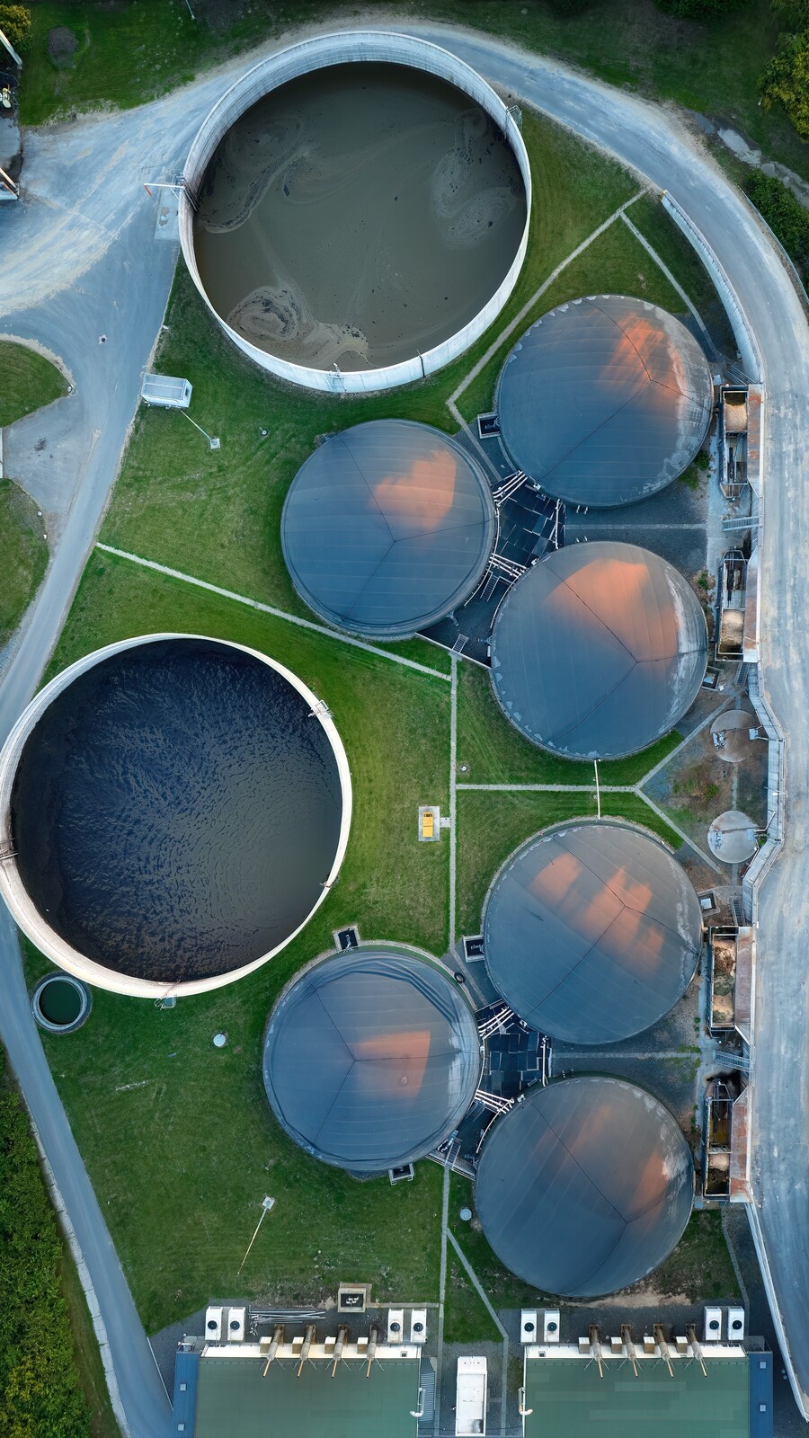 biomass