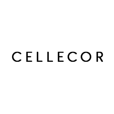 Cellecor Gadgets Limited IPO - Details: Cellecor Gadgets Limited IPO ...