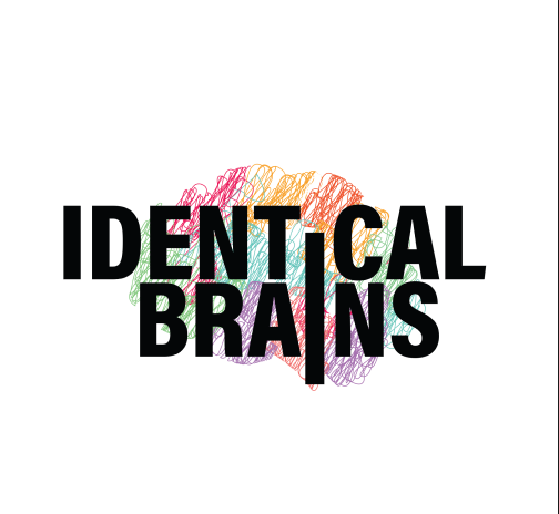 Identical Brains Studios IPO 